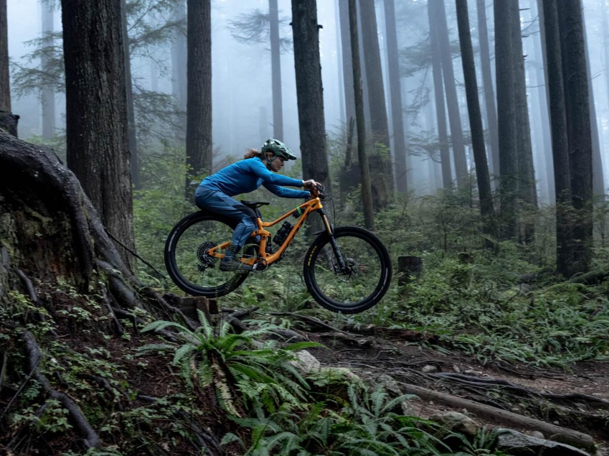 Filmtip: North Shore Betty