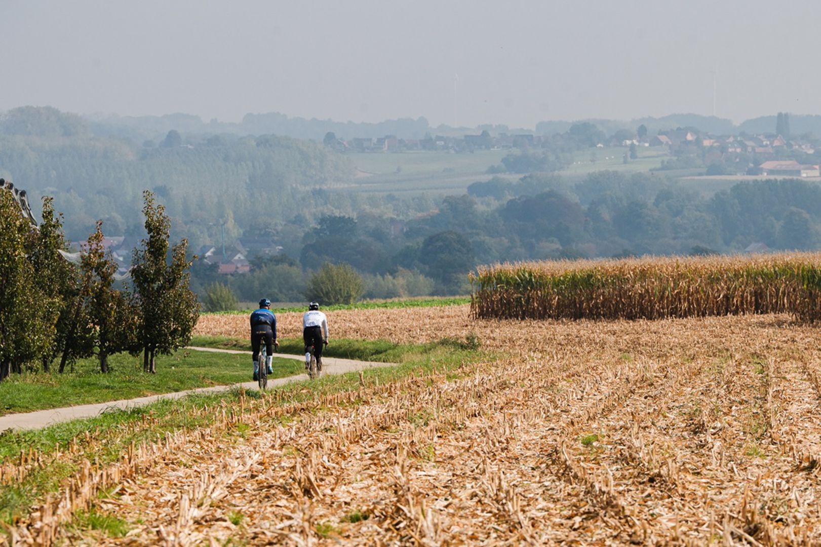 Fietsroute: Heerlijk Haspengouw