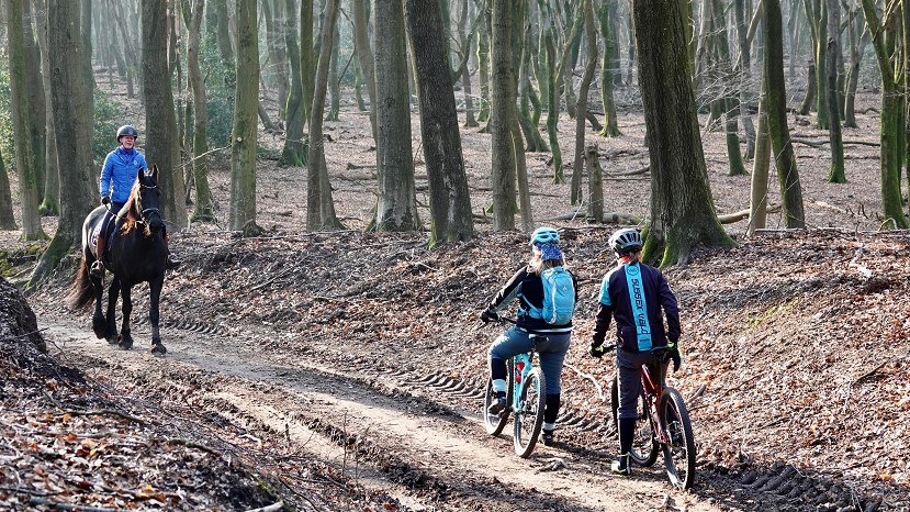 Do’s en don'ts in het bos