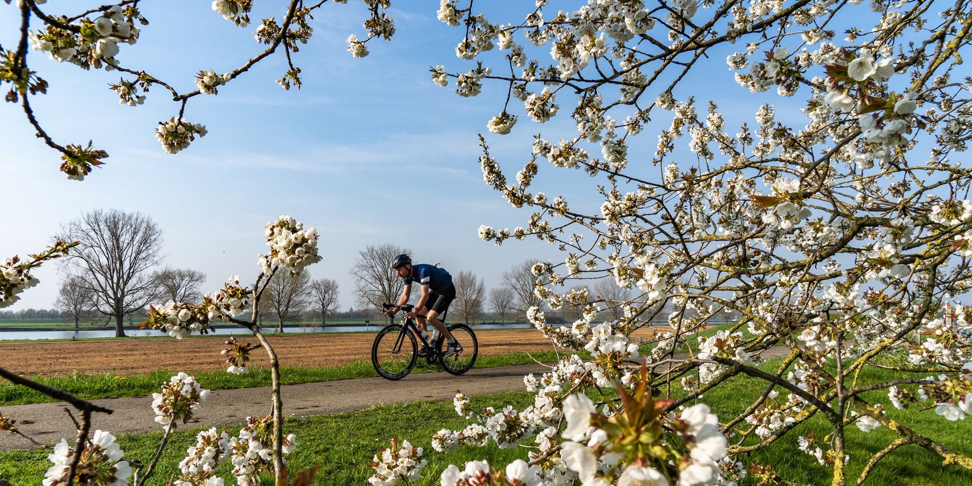 7x Tips voor je solorit