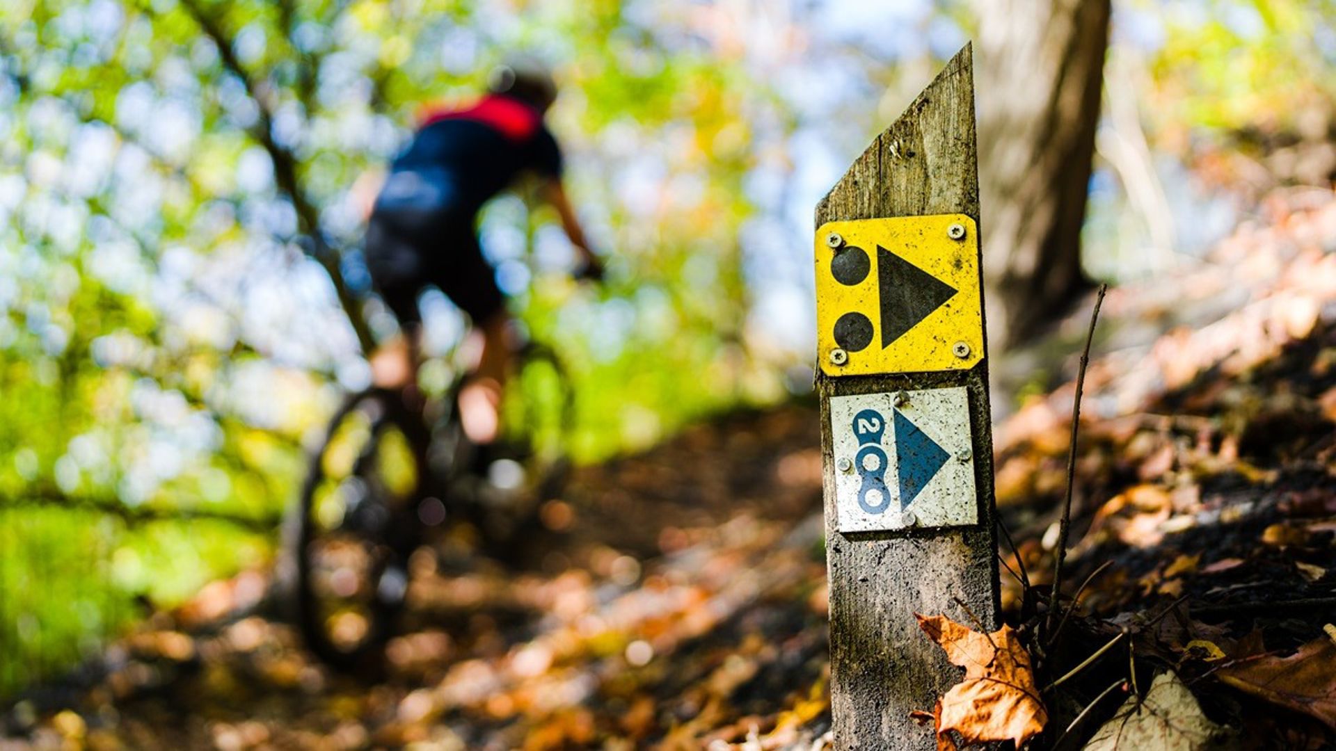 Nieuw Juridisch Fonds voor trailcrews komt op voor jouw MTB-route