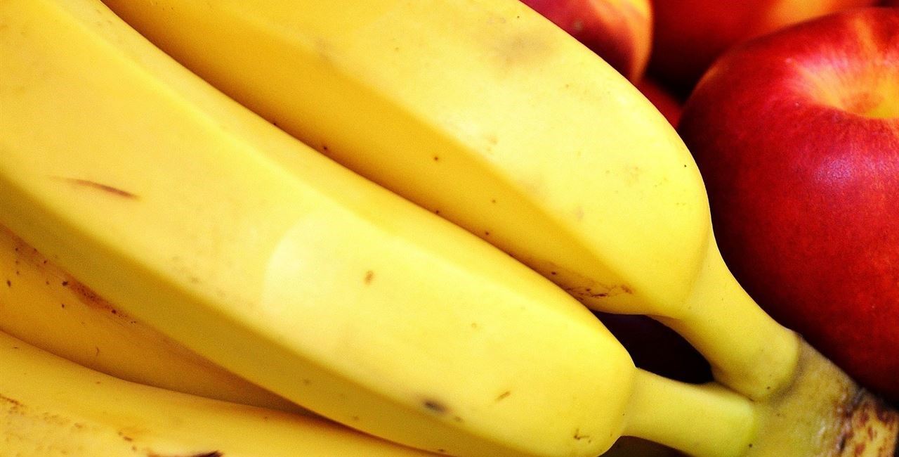 Fiets je op snelle of langzame koolhydraten?