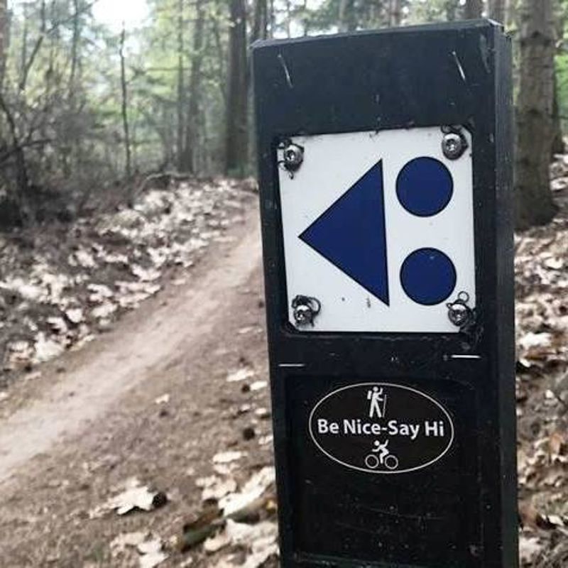 De 5 beste trails van Nederland