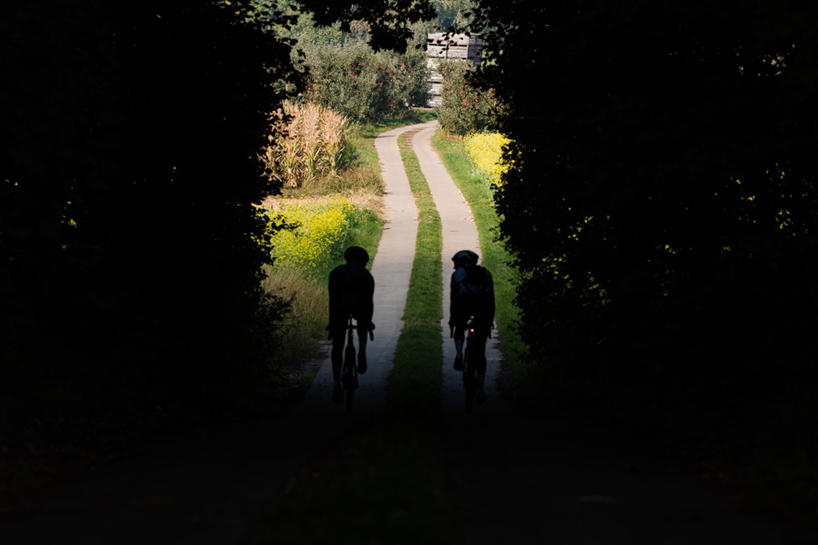 Fietsroute: Heerlijk Haspengouw