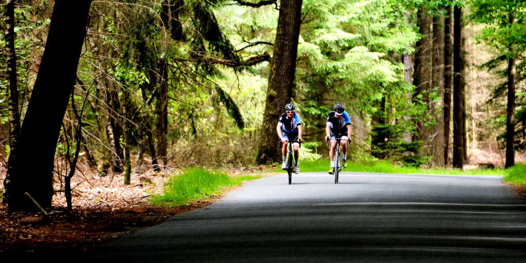 5x Midzomer uitdagingen
