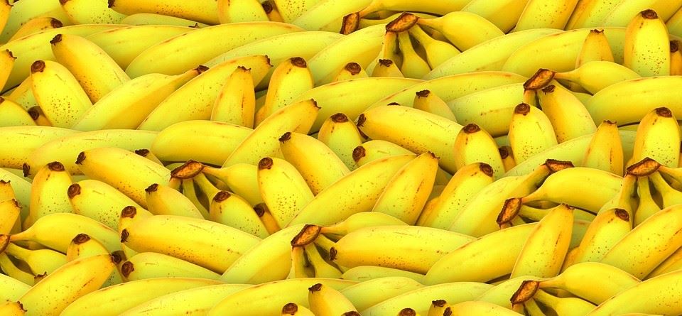 Blog: gooi maar van je af