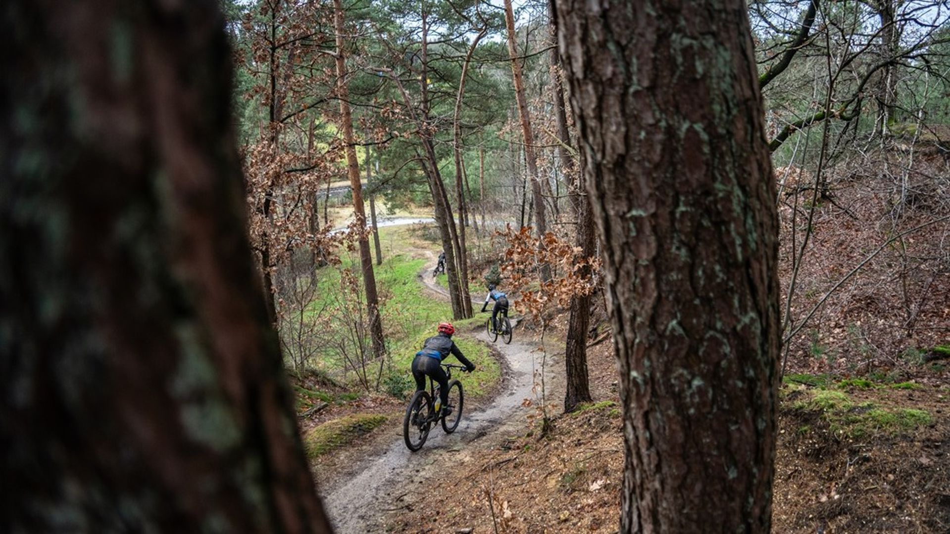 MTB-route Hellendoorn is een natuurlijke achtbaan
