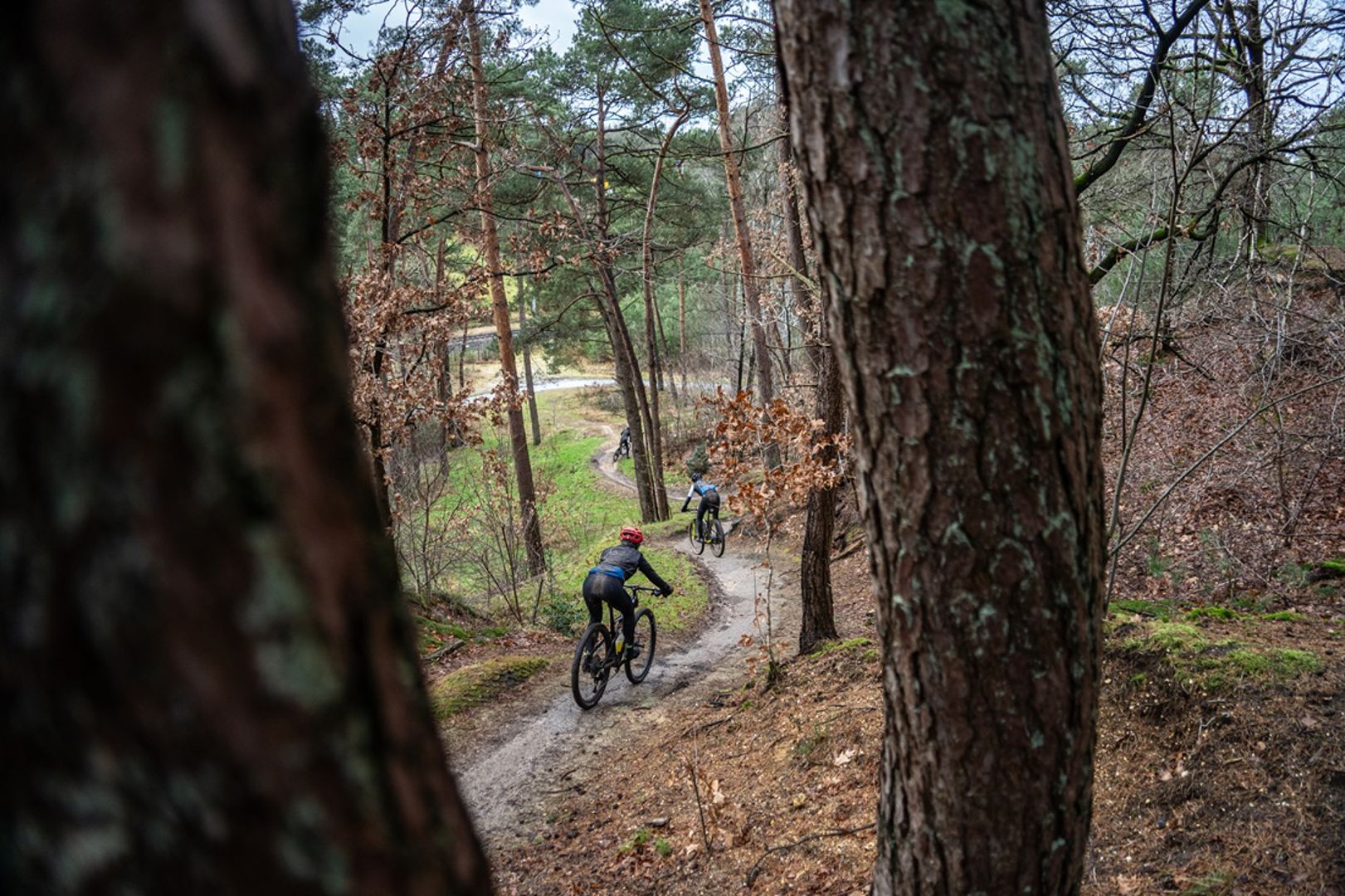 MTB-route Hellendoorn is een natuurlijke achtbaan