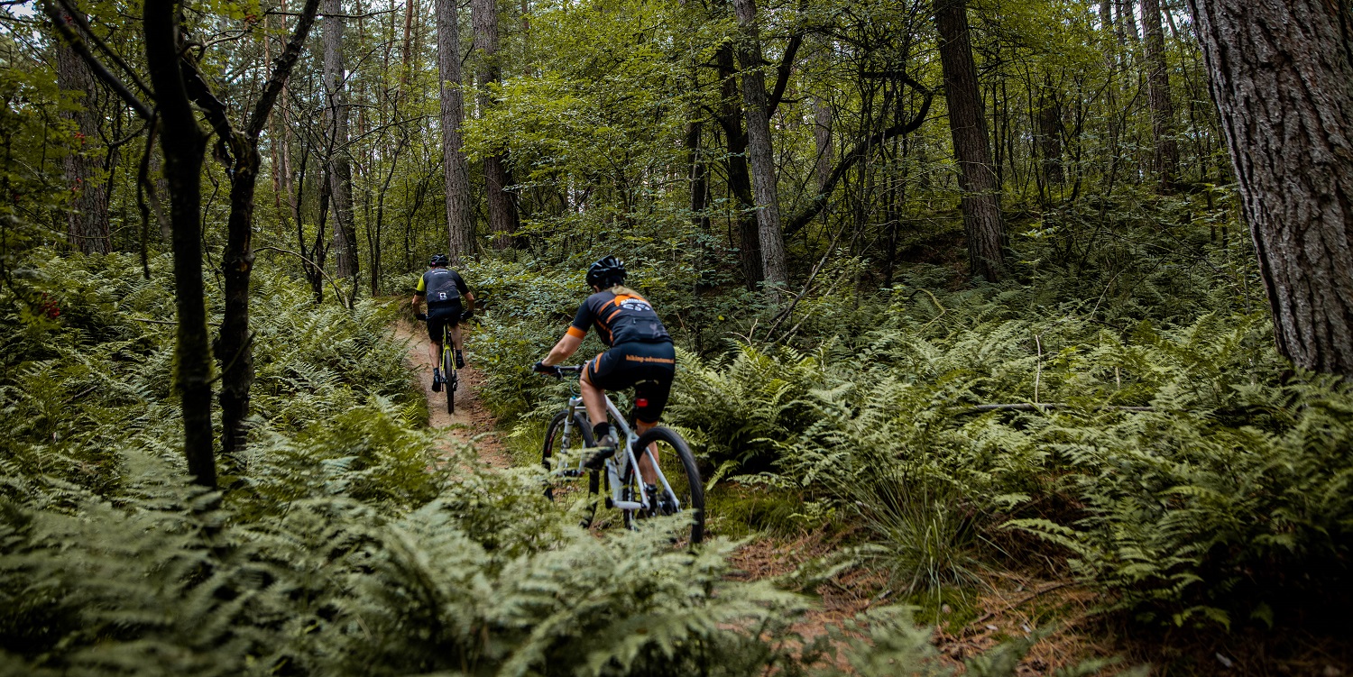 5x Prachtige MTB-routes in Drenthe
