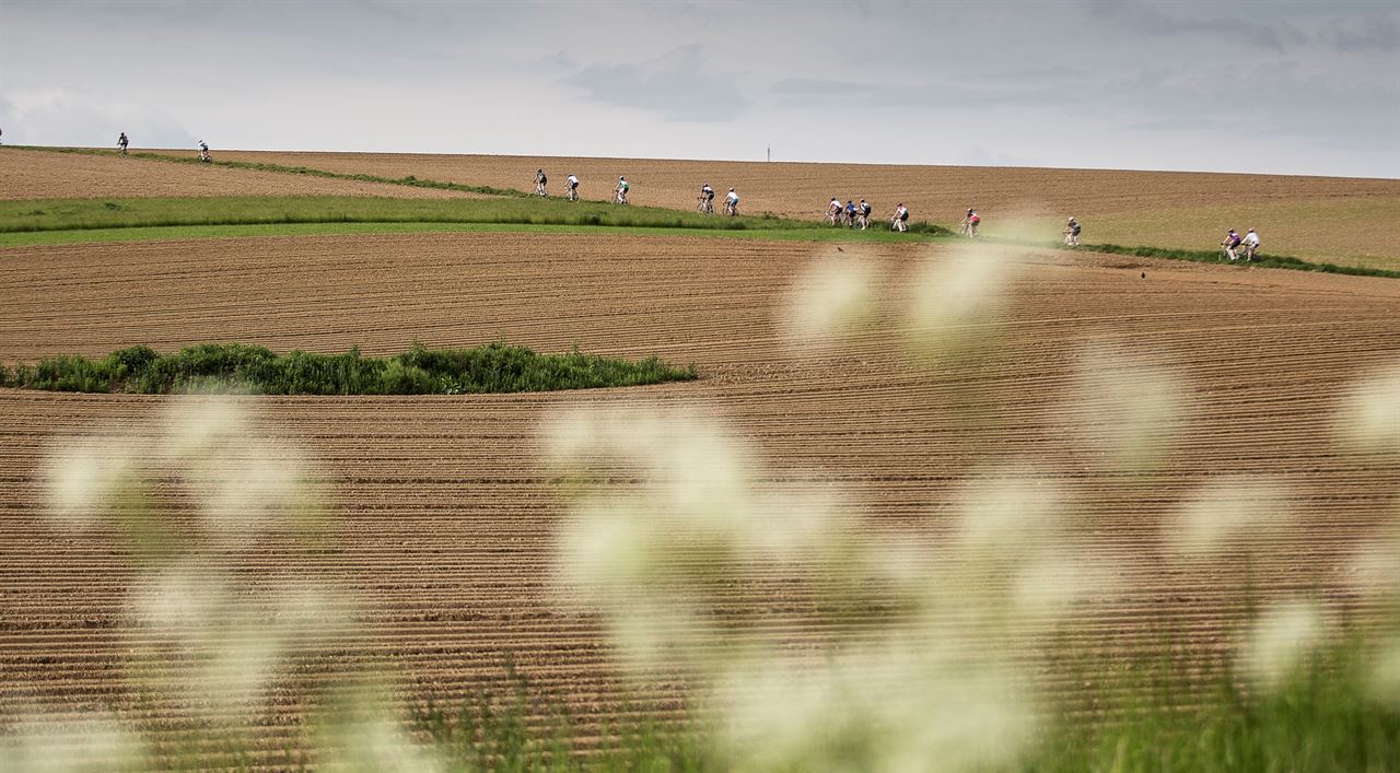 Ontdek het mooiste van Noord-Limburg