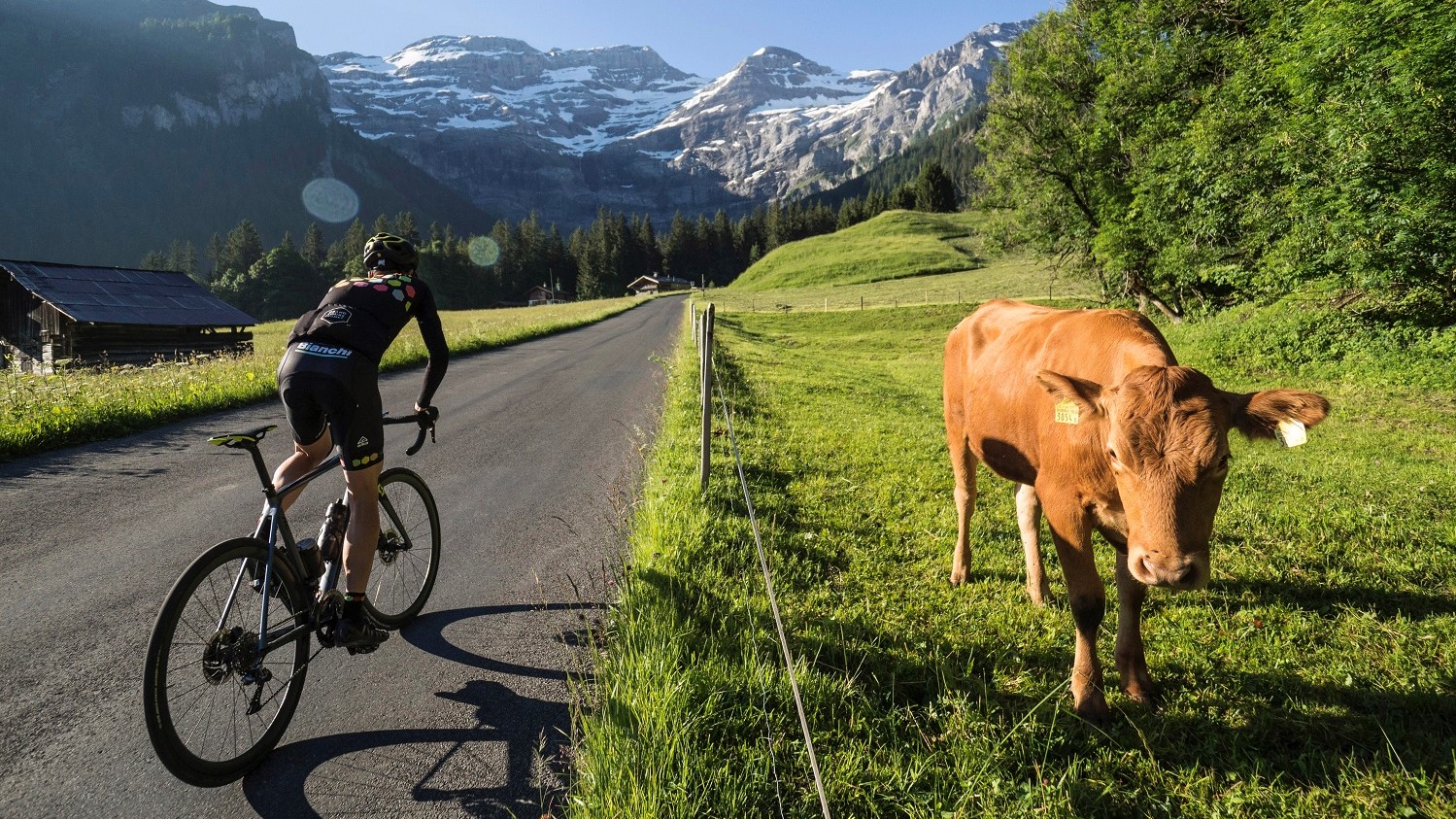Dáárom gaat jouw volgende fietsreis naar Alpes Vaudoises