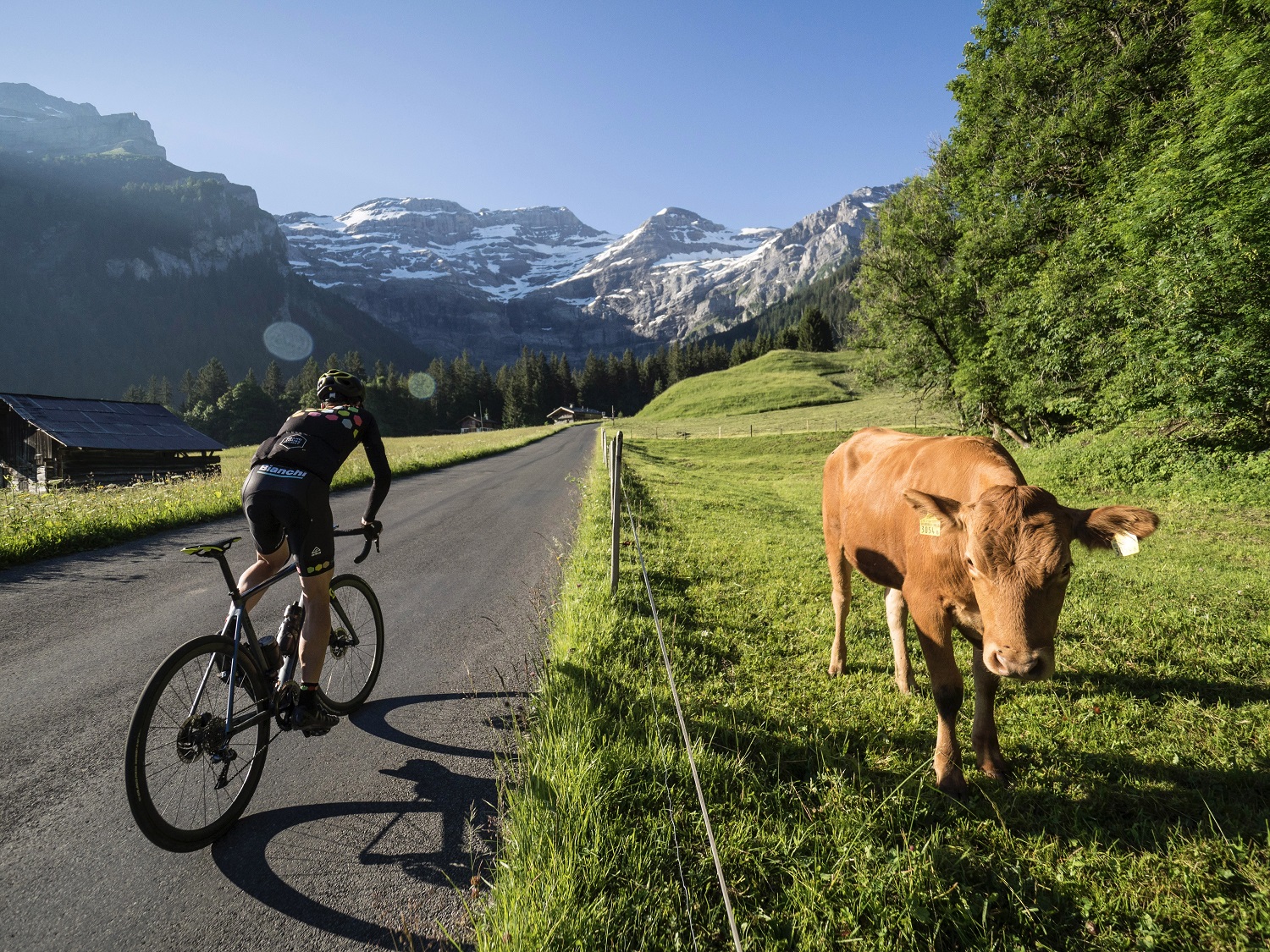 Dáárom gaat jouw volgende fietsreis naar Alpes Vaudoises