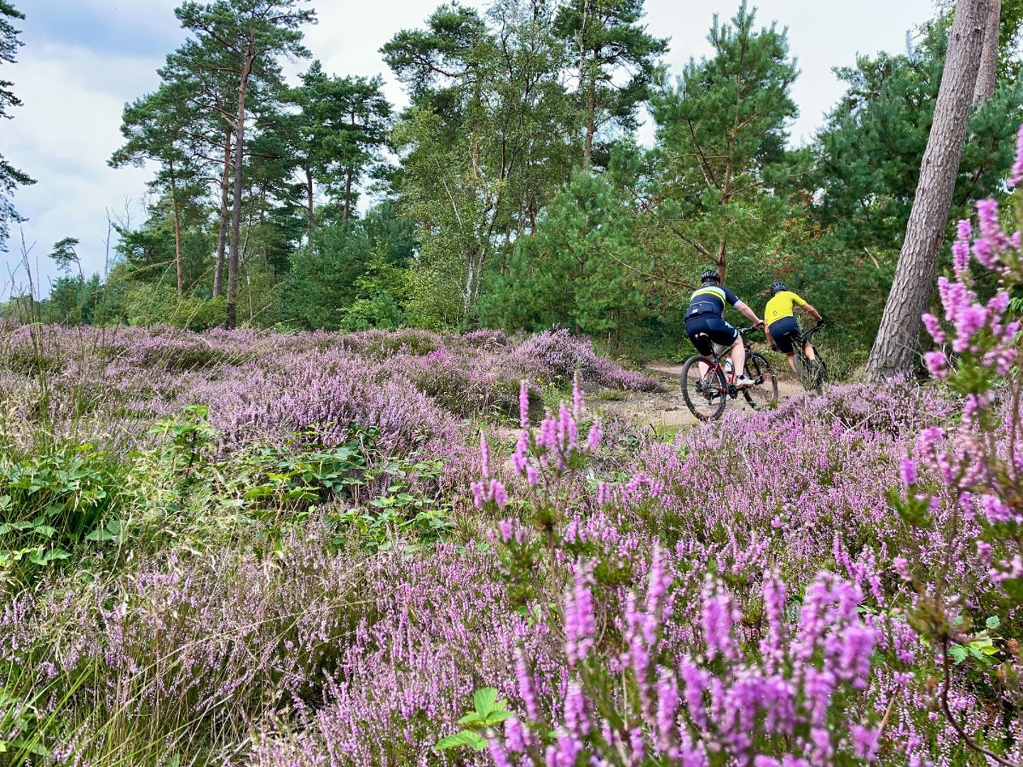 Verkenning gestart naar één landelijk mountainbikevignet