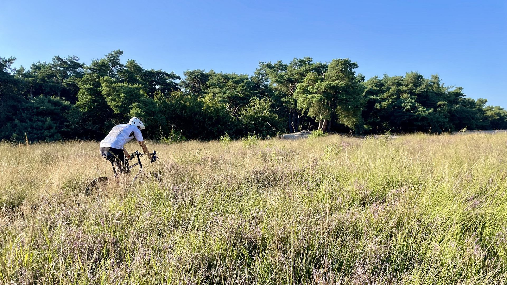 Test: Surly Grappler, een vreemde blauwe vogel