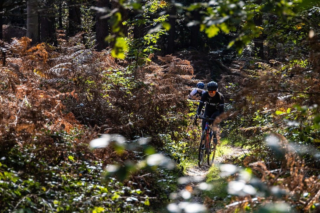 Gravelroute Reichswald: Grenzeloos genieten