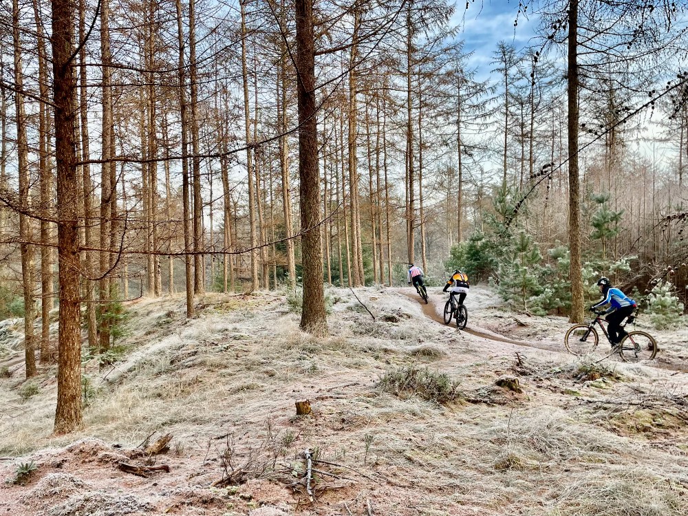 Arnhem praat met fietsers na protest tegen sluiting bospaden