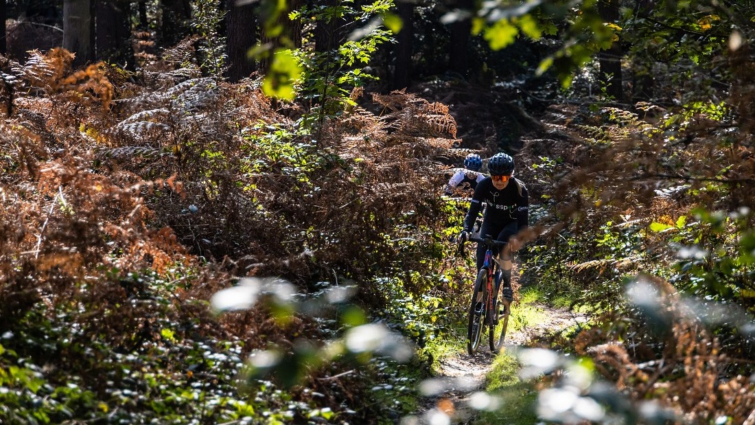 Gravelroute Reichswald: Grenzeloos genieten