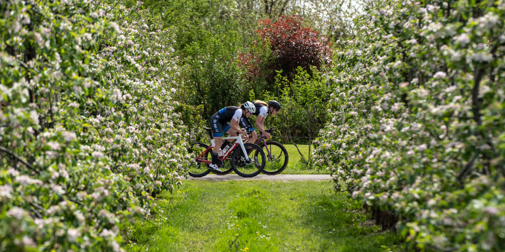 Trap de lente af met deze 6 voorjaarstochten