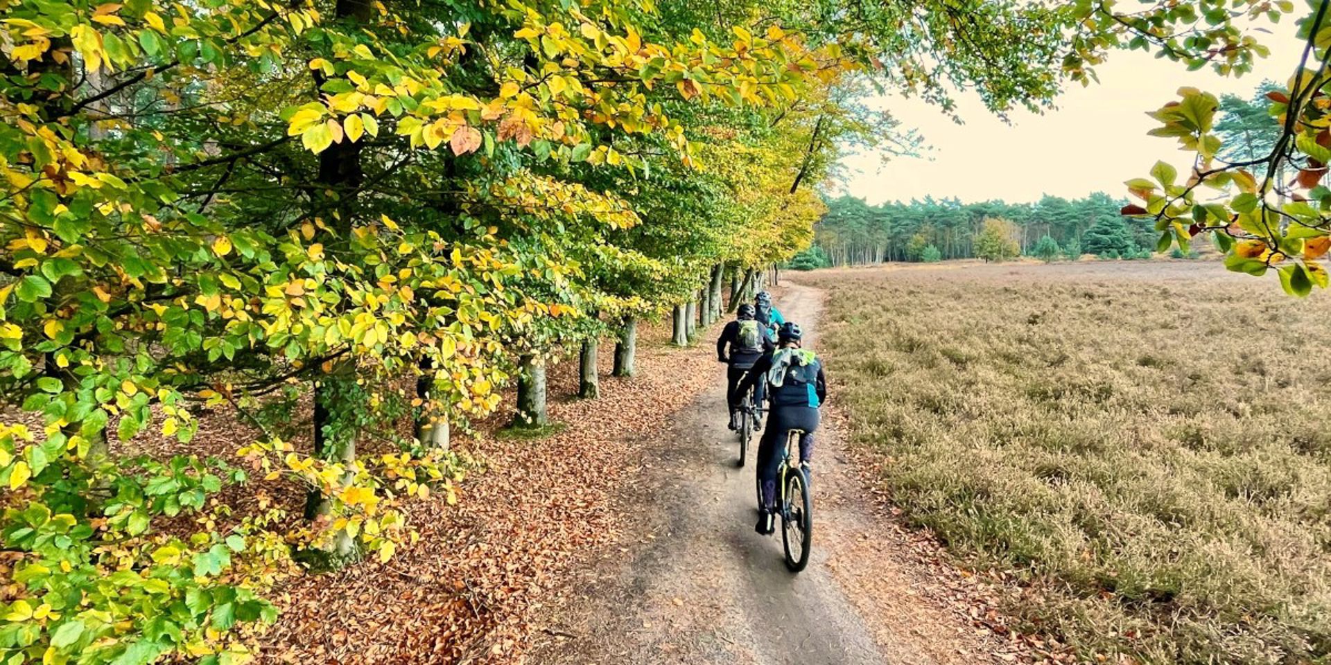 Deze 10x mountainbiketochten mag je deze herfst niet missen