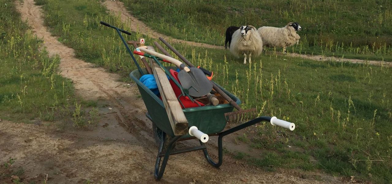 Trail Update - 08/2017