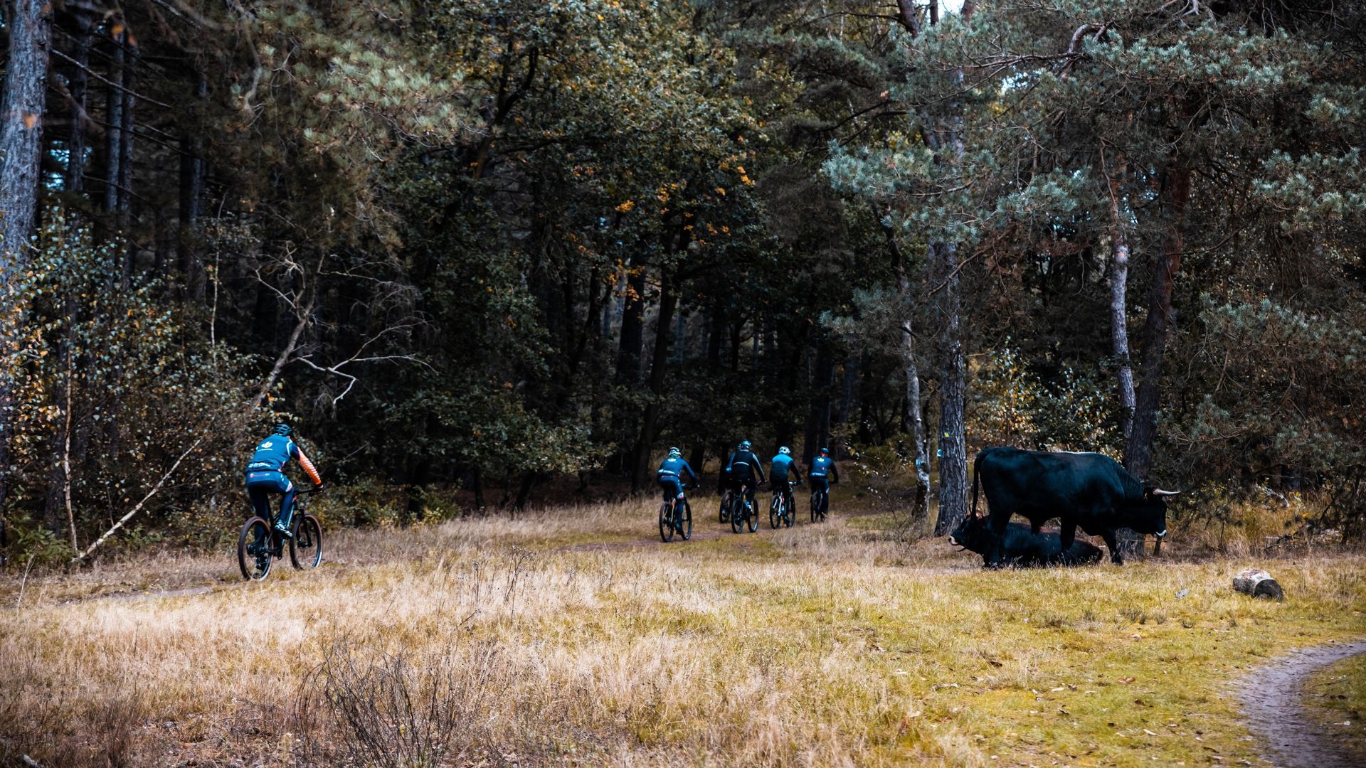 Het hele najaar gravelen en mountainbiken rondom de Maashorst